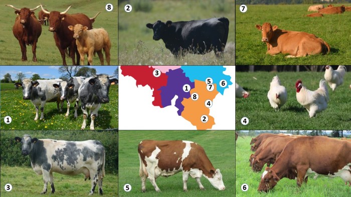 Carto des visites.jpg