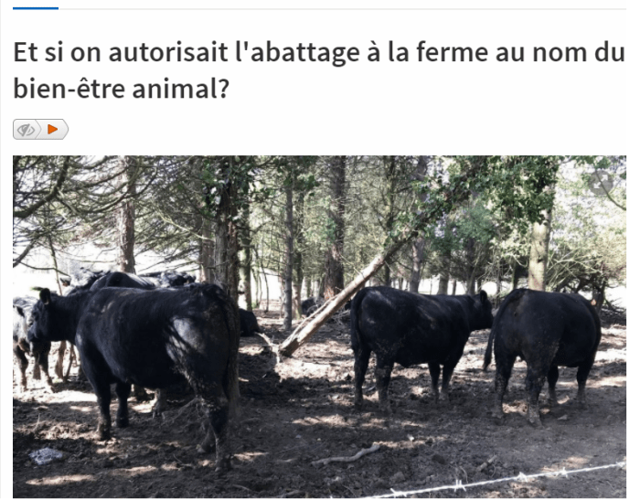 RTBF abattage BEA.png