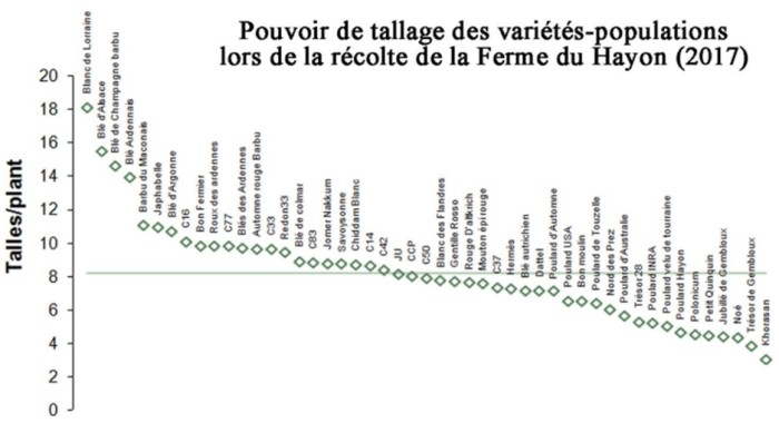 graph tallage.png