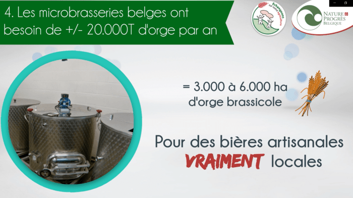 céréales brassicoles - image