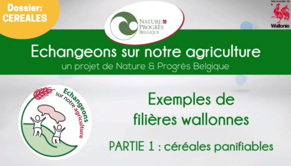 2019-08-07 11_41_36-Des initiatives wallonnes de filières en céréale panifiable - YouTube - Opera