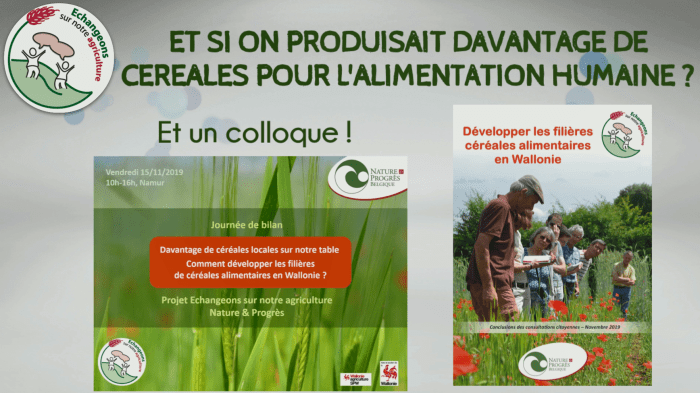 2019-12-18 16_37_37-Lecteur Windows Media.png